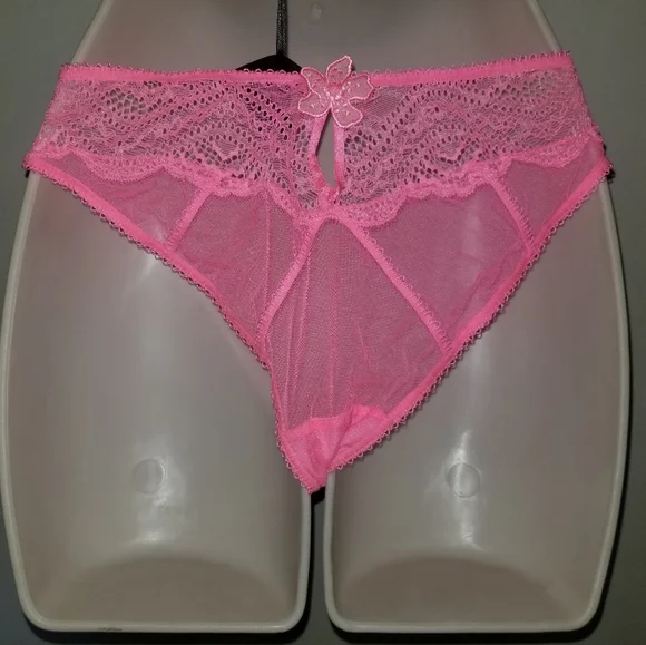 Honey Birdette Sabrina brief new